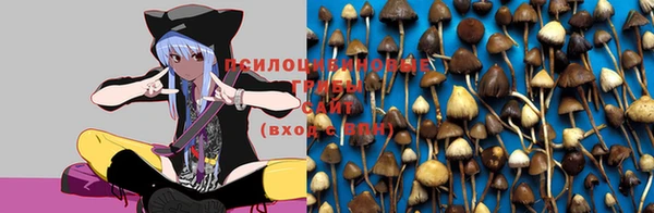 кокаин колумбия Беломорск