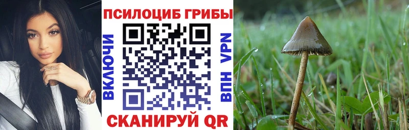где найти наркотики  Лабинск  Псилоцибиновые грибы MAGIC MUSHROOMS 