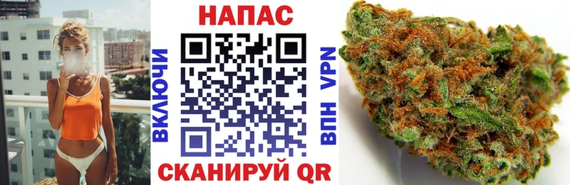 МАРИХУАНА SATIVA & INDICA  дарнет шоп  Лабинск 